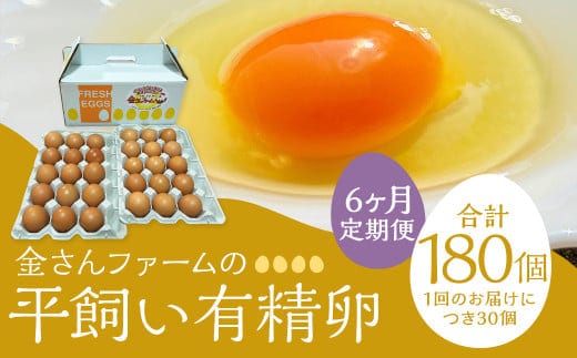 【定期便6回】【平飼い有精卵】30個入(26個+割れ保証4個) 合計180個 たまご 卵 玉子 鶏卵 平飼い 有精卵 定期便