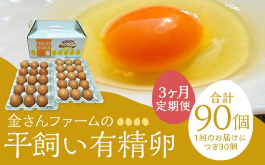 【定期便3回】【平飼い有精卵】30個入(26個+割れ保証4個) 合計90個 たまご 卵 玉子 鶏卵 平飼い 有精卵 定期便
