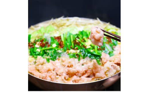 訳あり! 博多味噌もつ鍋 10人前セット 計約2.4kg