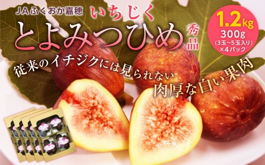JAふくおか嘉穂 いちじく とよみつひめ 秀品 300g(3~5玉)×4パック 計1.2kg 【2026年8月上旬~10月下旬発送予定】