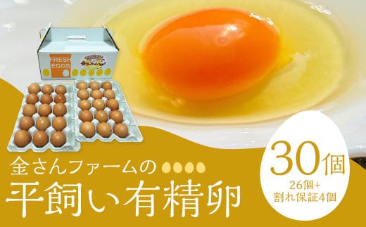 【平飼い有精卵】30個入(26個+割れ保証4個) たまご 卵 玉子 鶏卵 平飼い 有精卵