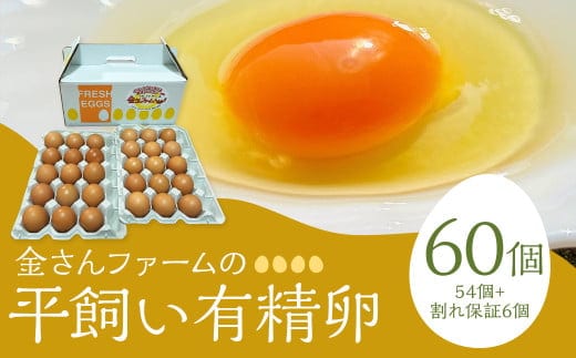 【平飼い有精卵】60個入(54個+割れ保証6個) たまご 卵 玉子 鶏卵 平飼い 有精卵