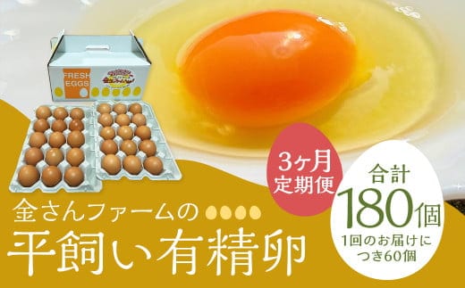【定期便3回】【平飼い有精卵】60個入(54個+割れ保証6個) 合計180個 たまご 卵 玉子 鶏卵 平飼い 有精卵 定期便