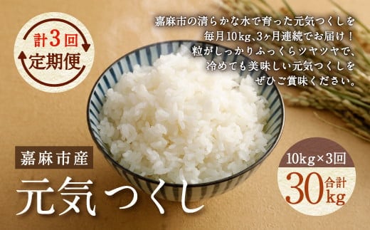 【令和7年産】【3ヶ月定期便】元気つくし お米 合計30kg (10kg×3回)【2025年11月上旬から順次発送予定】