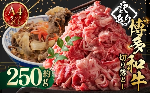 【 訳あり 】 博多和牛A4ランク以上 切り落とし 約250g お肉 肉 ニク にく 牛肉 牛 博多和牛 和牛 バラ バラ肉 赤身