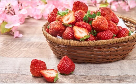 【春】福岡産 あまおう いちご 約250~270g×6パック 【2026年2月上旬~3月下旬発送予定】 大粒