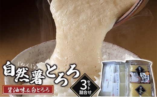 いも 自然薯 山芋 とろろ 食べ比べ 詰合せ セット 2種 各3袋 朝倉市産 自然薯王国 野菜 根菜 セット 