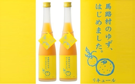 ゆず梅酒 500ml×2本 ＜篠崎＞ お酒 洋酒 リキュール類 