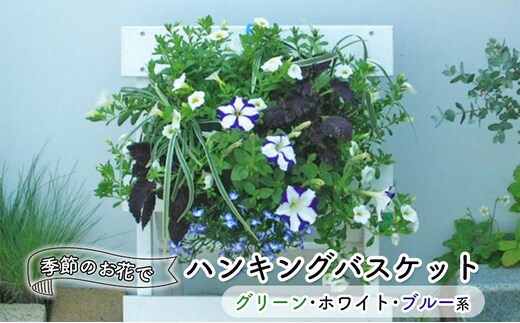 花 季節のお花でハンキングバスケット グリーン・ホワイト・ブルー系 植物 ガーデニング ガーデン インテリア 