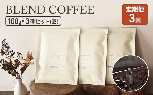 定期便 3ヶ月 コーヒー セット BLEND COFFEE 100g×3種セット (豆のまま) 珈琲 コーヒー豆 珈琲豆 3回 お楽しみ 珈琲山口 
