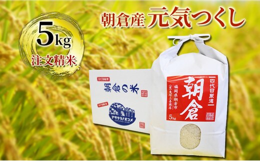 朝倉産 「元気つくし」5kg 