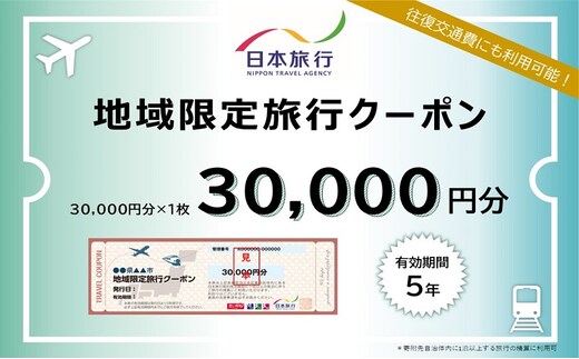 福岡県朝倉市 日本旅行 地域限定旅行クーポン30,000円分 チケット 