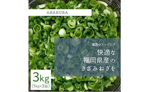 野菜 カット ねぎ 3kg（1kg×3袋）長ネギ 配送不可エリア有り 