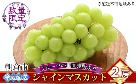 シャインマスカット 2房 フルーツの里の直売所より 葡萄 果物類 ぶどう 皮ごと 高い糖度 ※配送不可：離島