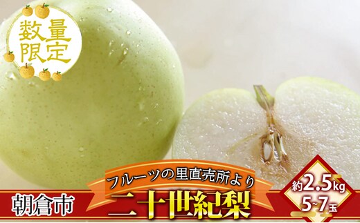 フルーツの里の直売所より 二十世紀梨 2.5kg ナシ 果物 先行予約 