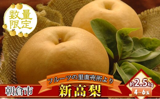 フルーツの里の直売所より 新高梨 2.5kg ナシ 果物 先行予約 