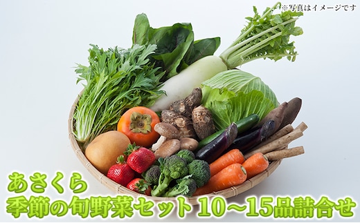 野菜セット おまかせ 10～15種 旬 朝倉市産 着日指定不可 配送不可 離島 詰合せ 