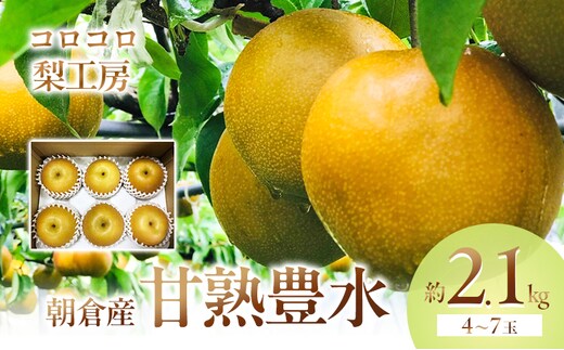 梨 豊水 まるで食べる梨ジュース！！ 甘熟 豊水梨 約2.1kg 4～7玉入 配送不可 離島 ナシ 果物 フルーツ 先行予約 