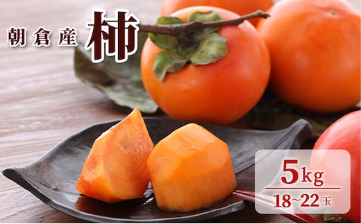 柿 5kg 朝倉 ぱぁ～しもん屋の柿 果物類 かき 