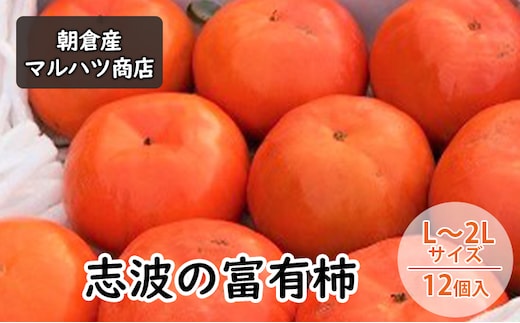 柿 志波の富有柿 L～2Lサイズ×12個入 マルハツ商店 果物類 かき 