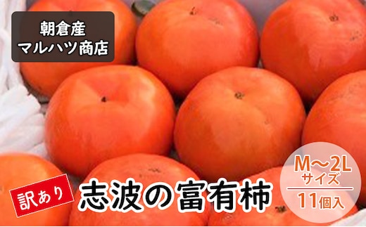 訳あり 柿 志波の富有柿 M～2Lサイズ×11個入 マルハツ商店 果物類 かき 