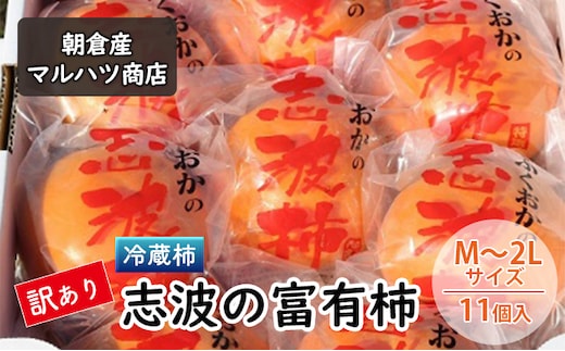 訳あり 柿 冷蔵柿 志波の富有柿 M～2Lサイズ×11個入 マルハツ商店 配送不可：離島 果物類 かき 
