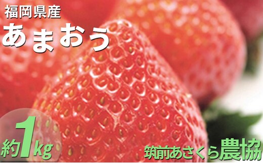 いちご あまおう 福岡県産 約1kg 250g×4パック 筑前あさくら農協 配送不可 離島 果物類 苺 イチゴ 配送期間：2026年1月下旬～3月上旬