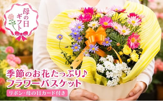 2027年【母の日 ギフト】季節のフラワーバスケット【白鉢】（オンライン決済限定） 花 