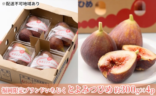いちじく とよみつひめ 福岡限定 ブランド 約300g×4パック 配送不可 北海道 東北 沖縄 離島 果物詰合せ フルーツ 