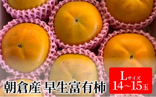 柿 富有柿 早生 Lサイズ 14～15玉入 かき カキ 果物 くだもの フルーツ 