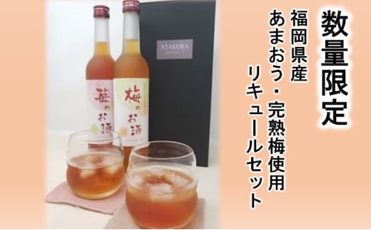 【数量限定】濃いめのお酒 飲み比べ 500ml×2本セット（苺のお酒/梅のお酒） 洋酒 リキュール 