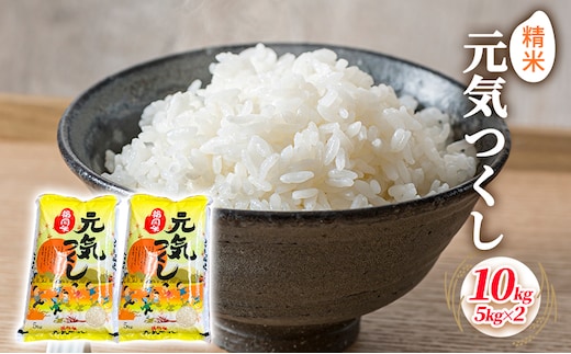 米 10kg 元気つくし 5kg×2袋 精米 こめ コメ お米 白米 