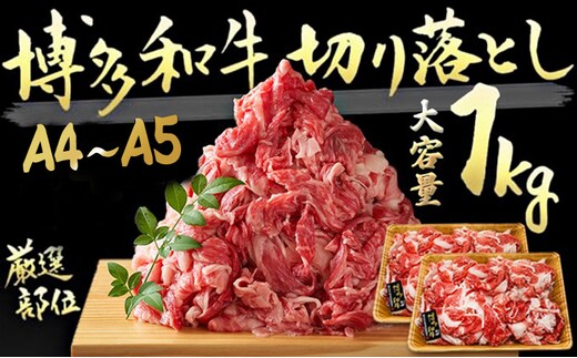 限定 牛肉 A4～A5 博多和牛 切落とし 合計1000g（500g×2p）計1kg 肩ロース 赤身 バラ カルビ 配送不可：離島 