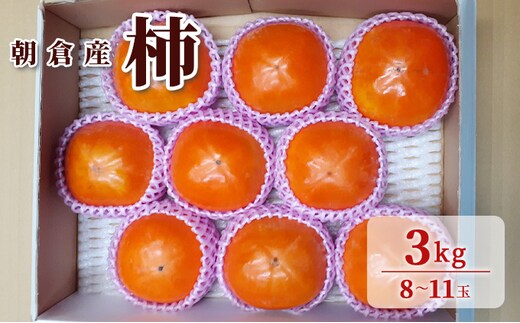 柿 3kg 朝倉 ぱぁ～しもん屋の柿 化粧箱入り 果物類 かき 福岡県産 