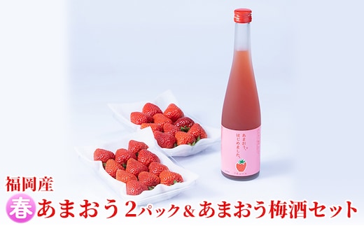 いちご あまおう 2パック 春 ＆あまおう梅酒 あまおうはじめました。 500ml×1本セット 配送不可 離島 お酒 アルコール 苺 フルーツ 飲み会 甘いお酒 宅飲み 果物 詰め合わせ 
