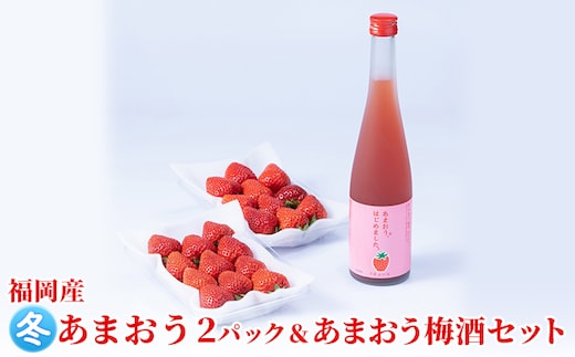 いちご あまおう 2パック 冬＆あまおう梅酒 あまおうはじめました。 500ml×1本セット 配送不可 離島 お酒 アルコール 苺 フルーツ 飲み会 甘いお酒 宅飲み 果物 詰め合わせ 