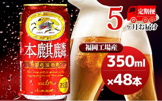 【定期便5回】キリン 本麒麟 350ml（48本）24本×2ケース 福岡工場産 ビール キリンビール お酒 アルコール飲料 5回お届け 晩酌 長期 低温 熟成 調和のある味わい 飲み会 家飲み 宅飲み 