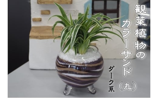 カラーサンド（ガラス花器：丸）ダーク系 植物 インテリア 飾り 緑 グリーン 部屋 玄関 キッチン 洗面所 丸型 グリーンインテリア 
