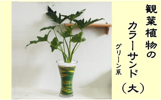 カラーサンド（ガラス花器：大）グリーン系 植物 インテリア 飾り 緑 部屋 玄関 グリーンインテリア アート感覚 寄せ植え 1点もの 