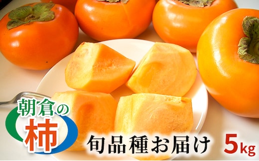 柿 朝倉の柿はじめました。季節の朝倉の柿 約5kg 16-20玉 配送不可 離島 果物 フルーツ 秋の味覚 旬 デザート 果実 おやつ 美味しい品種 厳選 お届け 