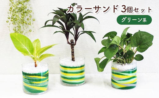 カラーサンド 3個 セット グリーン系 植物 インテリア ガーデン 