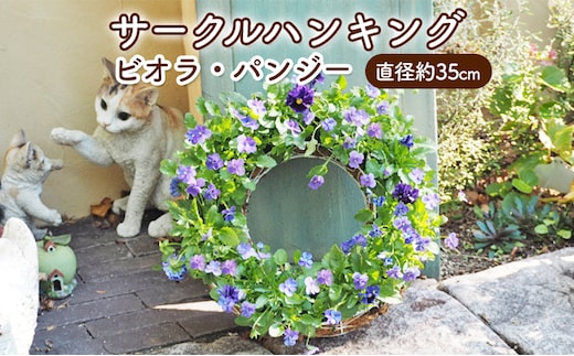 花 サークルハンキング ビオラ パンジー 直径35cm 植物 インテリア ガーデン 