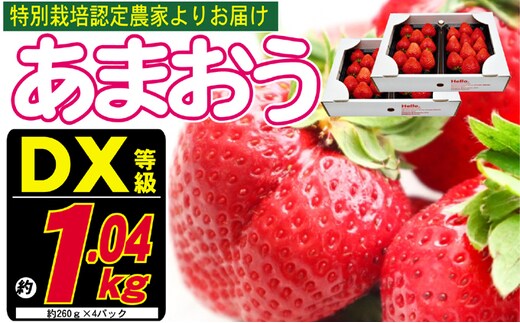 あまおう DX等級のみ 約1.04kg 約260g×4パック ※配送不可：北海道・東北・沖縄・離島 果物 苺 フルーツ デザート 旬 大粒 中玉 大玉 旬のあまおう 