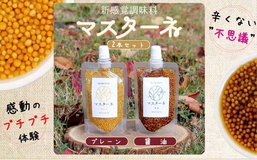 調味料 マスターネ プレーン しょう油 2本セット 100g×各1 マスタード 食べ比べマスタードシード 味付け 辛くない 料理 アクセント和食 洋食 中華 万能調味料 