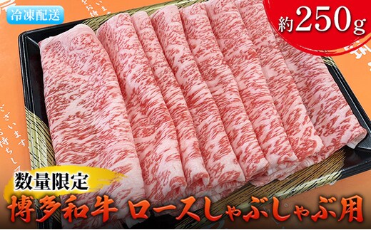 数量限定 牛肉 博多和牛 ロース しゃぶしゃぶ用 約250g 配送不可 離島 お肉 霜降り やわらかい きめ細かい 国産 国産牛 牛しゃぶ 肉料理 食材 食べ物 グルメ 