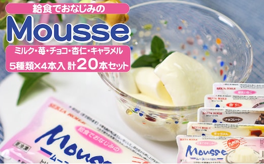 ムース 給食でおなじみのムース 5種類20本セット お菓子 スイーツ おやつ デザート 食後 食後のデザート 甘いもの イベント 屋台 食材 アイス 学園祭 文化祭 業務用 家庭用 国産 食べ物 