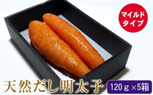 辛子明太子 天然だし 明太子 120g マイルド×5セット 配送不可 離島 マイルドな辛さ 至福の味 簡易贈答用 ギフト ご飯のお供 お茶漬け 冷蔵 