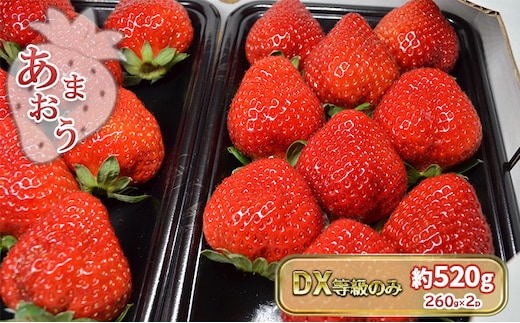 いちご あまおう DX 等級のみ 約520g（260g×2パック）配送不可 北海道 東北 沖縄 離島 
