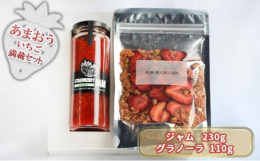 ジャム グラノーラ セット あまおうジャム 230g＋いちごいちごいちごあまおうグラノーラ 110g 加工食品 イチゴジャム ストロベリージャム シリアル 朝食 朝ごはん 小腹 特別栽培 