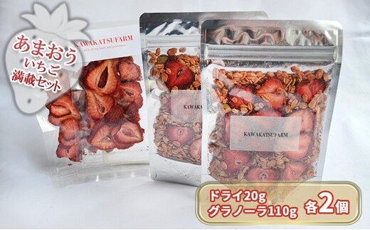 ドライフルーツ グラノーラ セット あまおうドライ 20g×2＋いちごいちごいちごあまおうグラノーラ 2パック セット 加工食品 砂糖不使用 シリアル 朝食 朝ごはん 小腹 特別栽培 